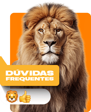 Dúvidas Frequentes Lions Mutual